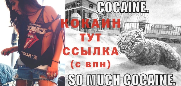 spice Аркадак