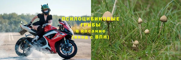 соль курить ск Алзамай