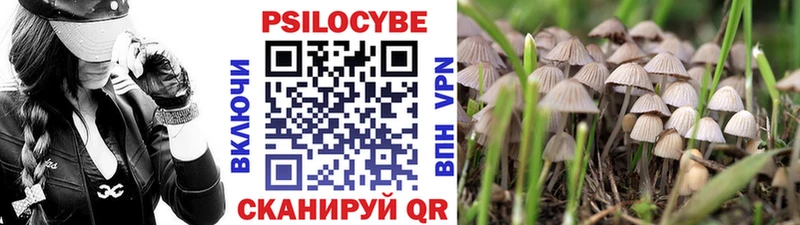 кракен ссылки  Тюкалинск  Галлюциногенные грибы мухоморы 