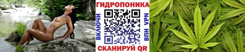 Бошки Шишки конопля  Тюкалинск 